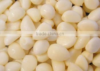 A Grade Dehydrated Garlic Powder Natural Spices from Factory Directly