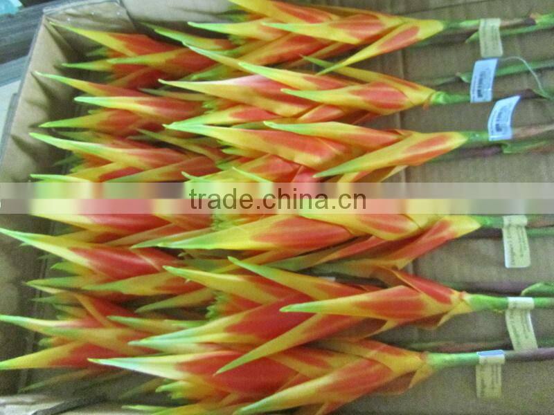 silk tropical flower tropical presentation