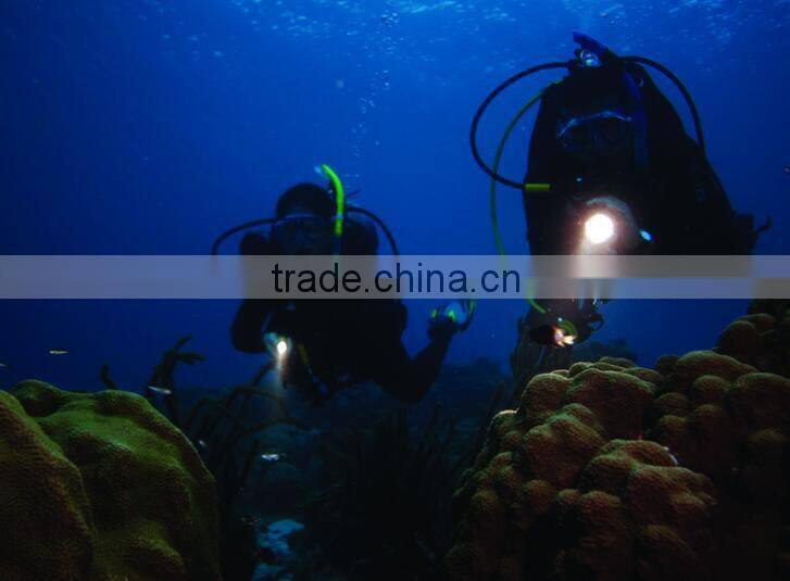 High quality Small and portable diving equipment diving flashlight
