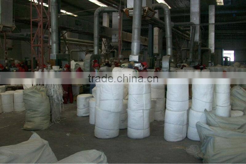 ceramic fiber Module (largest supplier in China)
