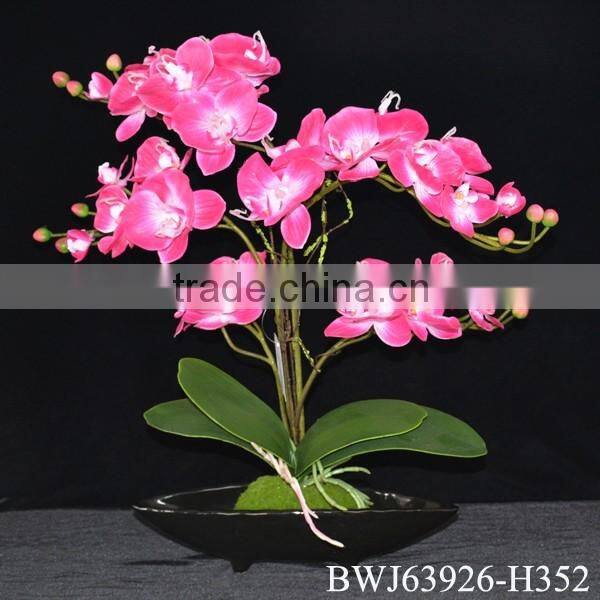 Latest Style High Quality orchid bonsai