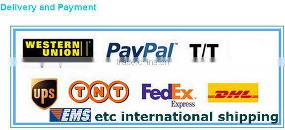 New handheld Veterinary ultrasound scanner for VET pregnancy test V9 with CE certification