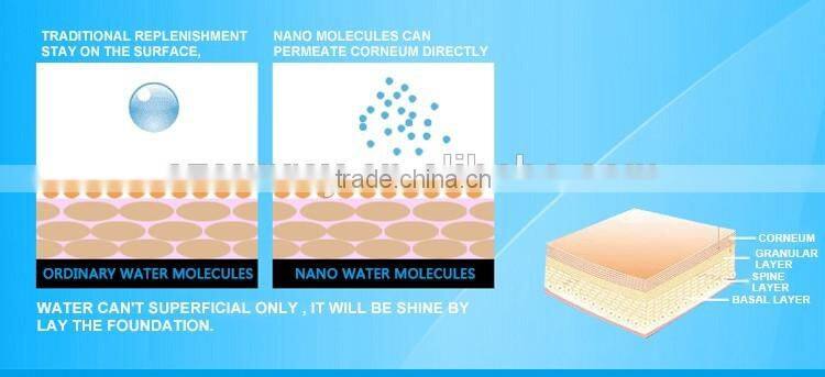 Christmas gift economic home use electronic portable facial Handy Mist deep moist spray device