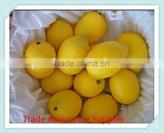 Artificial pumpkin Halloween props faux vegetables pretend display/Yiwu sanqi craft factory