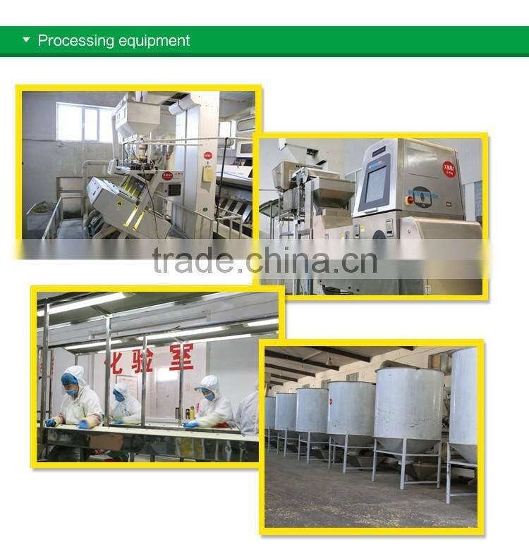 edible red water melon seeds big size