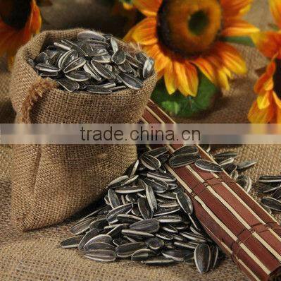 Bulk New Crop Striped Common American Sunflower Seeds