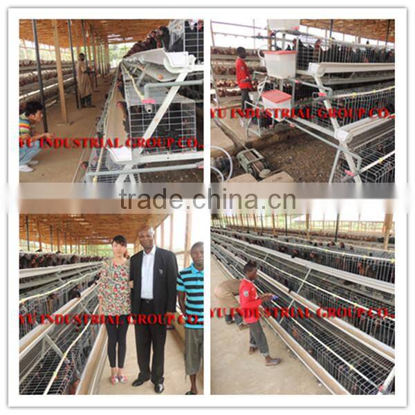 TAIYU Farm Machines for Laying Hens