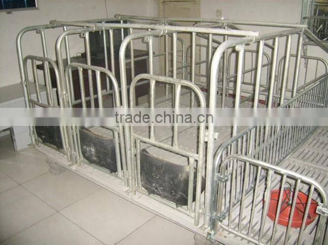 Automatic pig farming equipment for sale
