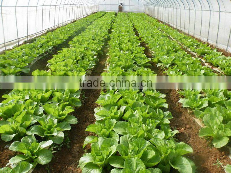 Multi sized hdpe car park sun shade sail canopy on sale