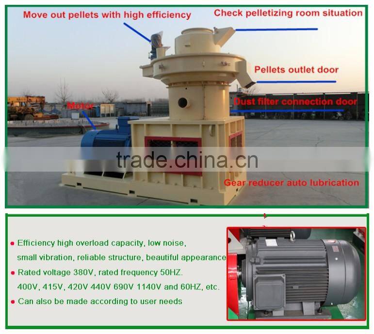 popular wood pellet mill machine hot sale in Thailand