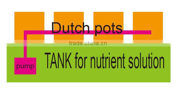 dutch bucket system