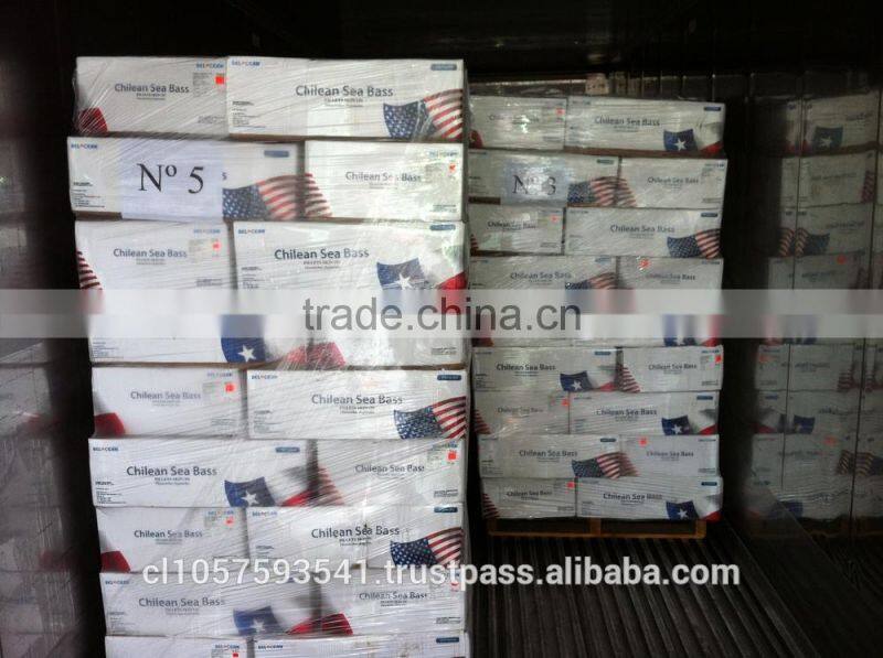 Patagonian Toothfish or Real Chilean Seabass