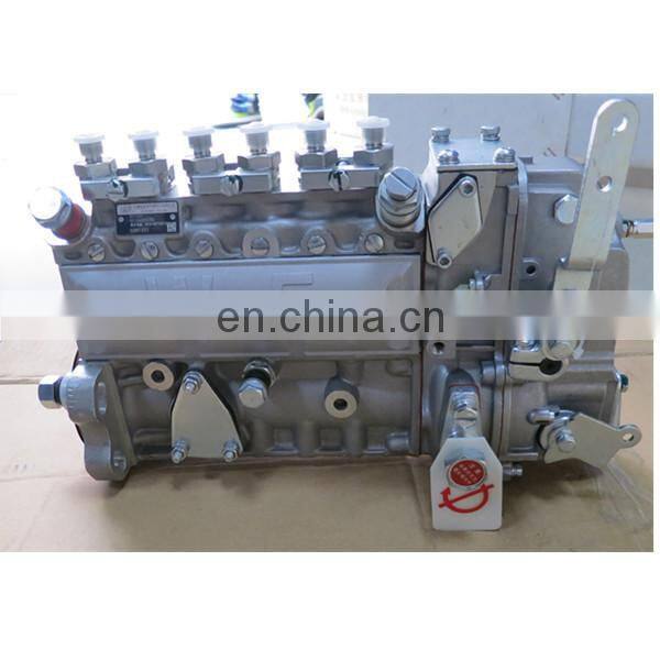 3976801 Diesel Engine 6BT Fuel Injection Pump