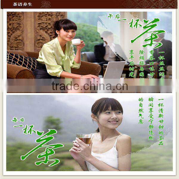 xinyang maojian green tea