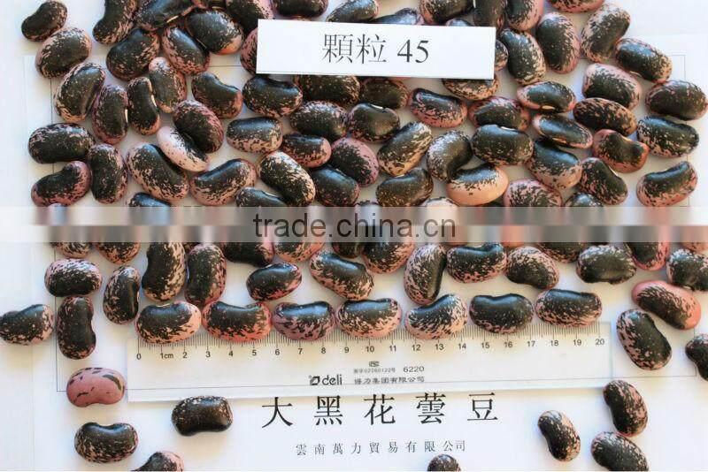 Large Black Speckled Kidney Beans, max. 45/100gr