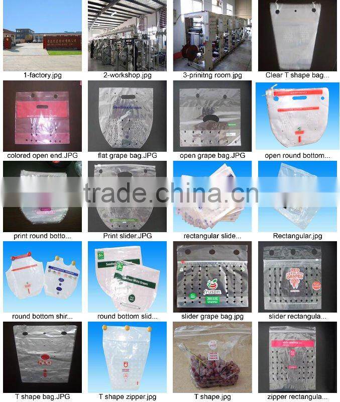 Resealable LDPE slider zipper bag /clear plastic zipper bag