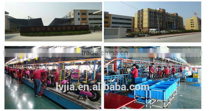 Electro-tricycle /three wheels electric scooter /Moped for elder