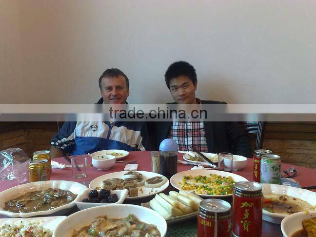 Supply frozen Spanish mackerel (scomberomorus niphonius)