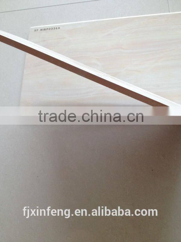 NEW!!! JULY 11st 250*400 new design inkjet wall tile