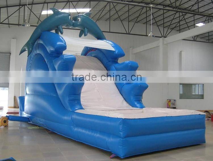 8mL Giant Dolphin Inflatable slide