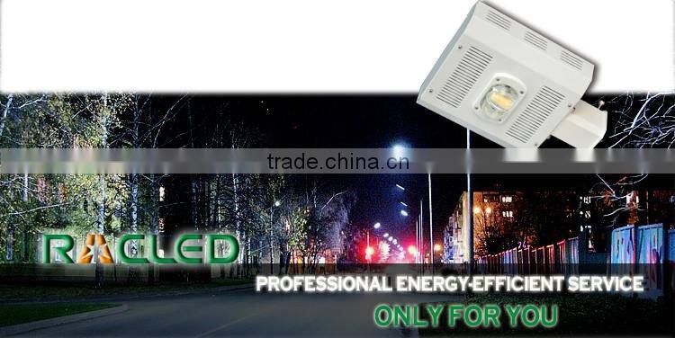 40W LED street lamp LED courtyard lamp COB light