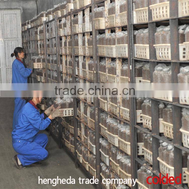 for selling clear to mind dried shiitake mushroom