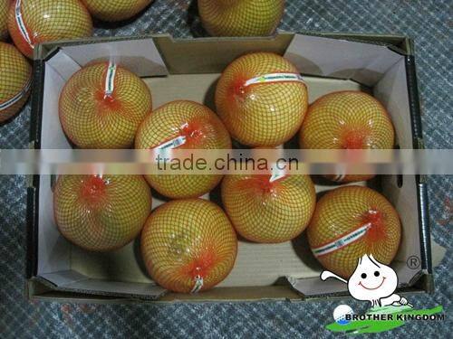 wholesale fresh honey pomelo