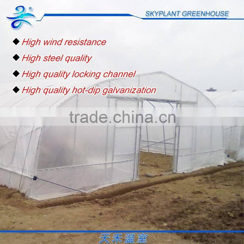 PE Film Horticultural Greenhouse Tunnel