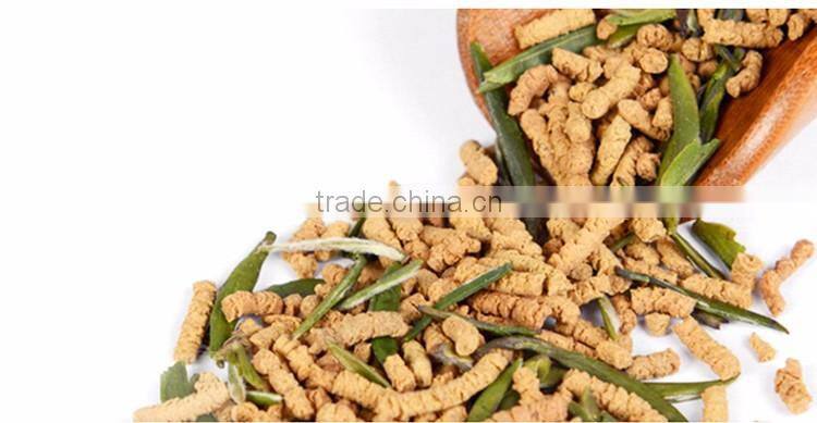 Refined Chinese tea manufacturer vital buckwheat green tea