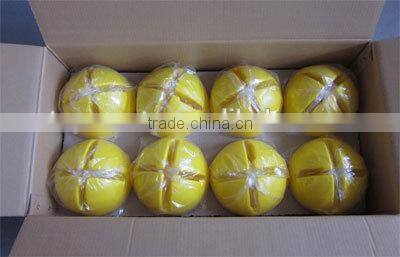 Dog Training Agility Sliding Ring Hoop Jump with a Fixed Base