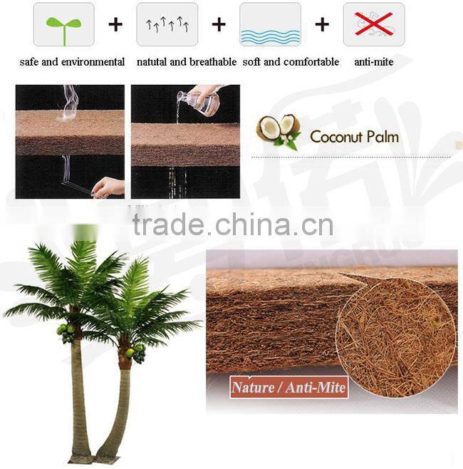 factory from China natural thin coconut palm mattress