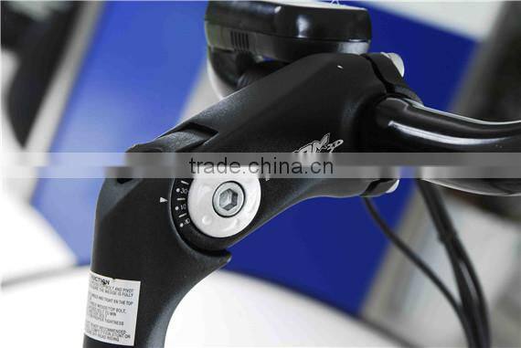 lady 36V 10AH Li-ion Battery Electric euro Bike with Pedal TDF12Z