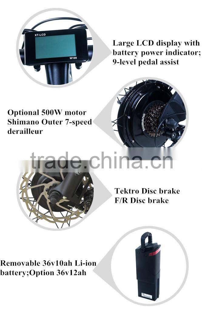 Seagull,cheap retro electric bike