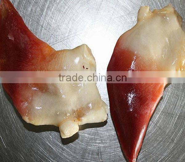 Frozen 21-25pc/kg arctic surf clam