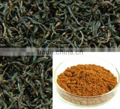 Theaflavins 20% ~ 80%