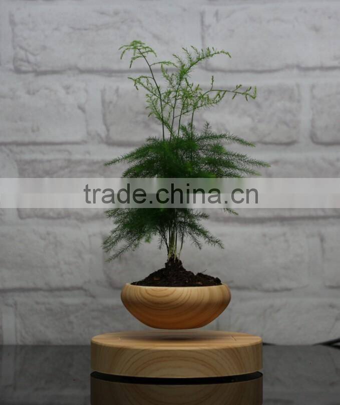 factory direct selling floating air bonsai pots