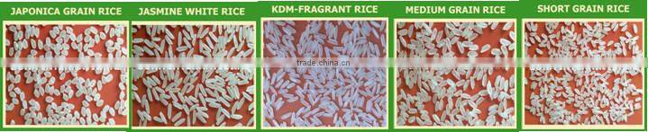 JASMINE WHITE RICE <5% BROKEN> - CHEAPEST PRICE _THE BEST VIETNAMESE RICE