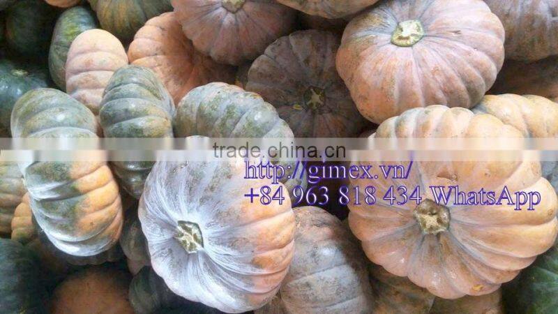 FRESH PUMPKIN +84963818434 whatsapp