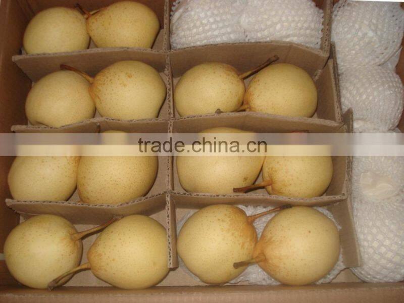 2015 new crop fresh pears bulk purchase