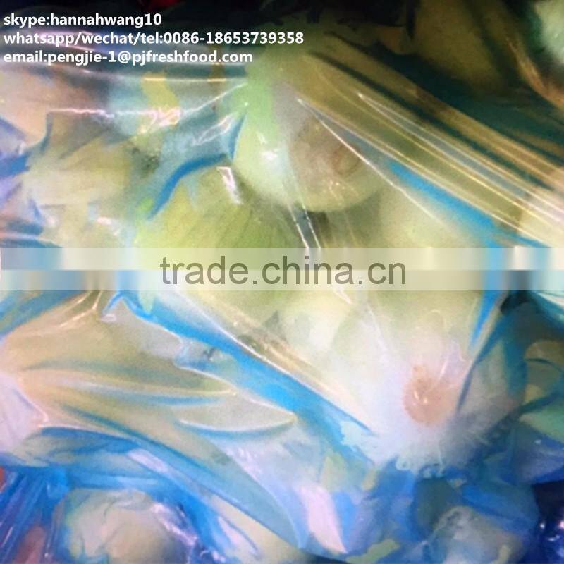 2016 new crop fresh peeled onion