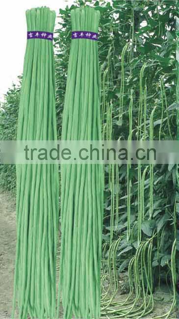 Chinese High Yield Long Green Asparagus Bean Seeds Cowpea Seeds For Sale