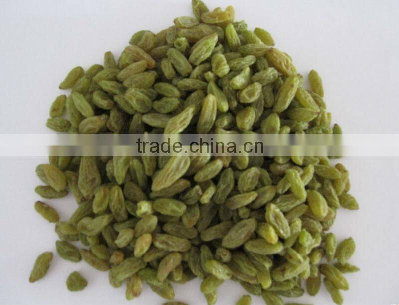 Thompson seedless green raisin