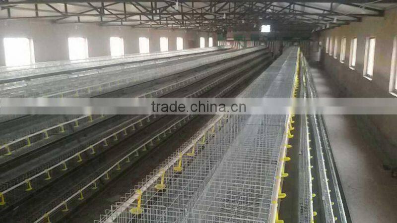 Kenya hot selling best quality battery chicken layer cage