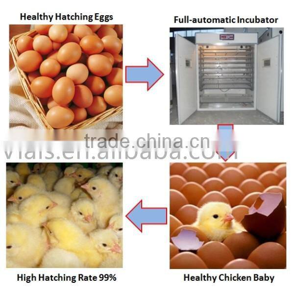 1056 chicken eggs incubation equipment with solar power system