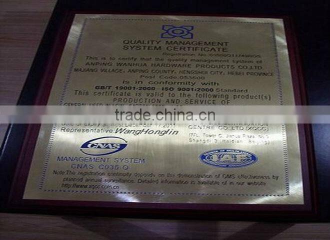 Wanhua--Common Iron Nail Manufacturer