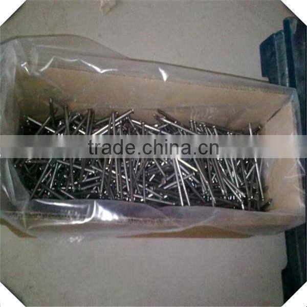 small common nails factocy / common iron nail / common wire nail for sale