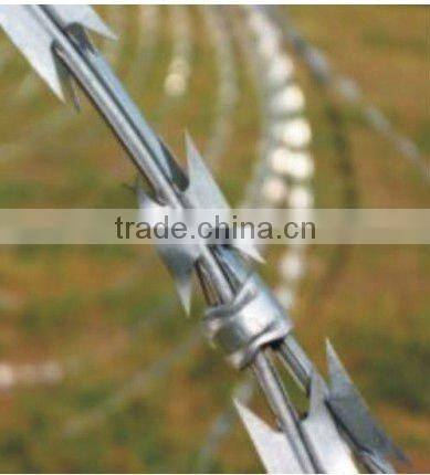galvanized & PVC coated razor barbed wire joint venture