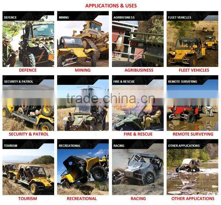 1100cc 4X4 Dune Buggy