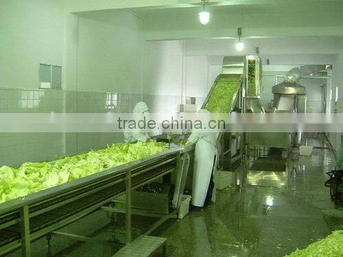 vegetables dehydraton processing line