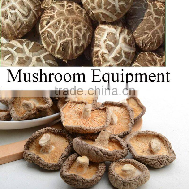 mushroom belt drying machine